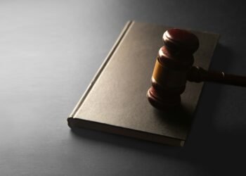 LA Influencer Denied Mental Health Diversion in Sugar Daddy Theft Case