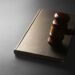 LA Influencer Denied Mental Health Diversion in Sugar Daddy Theft Case