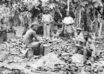 UN Demands Reparations for Slavery: Should Taxpayers Pay?
