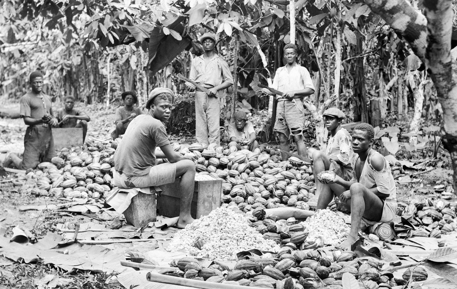 UN Demands Reparations for Slavery: Should Taxpayers Pay?
