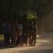 Inside the Myanmar Scam Compounds Targeting Indian Americans