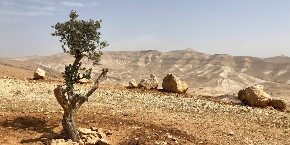 Palestinian Access To West Bank Springs, Heritage Sites Threatened By Settlers