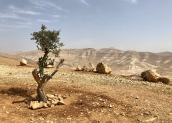 Palestinian Access To West Bank Springs, Heritage Sites Threatened By Settlers