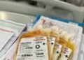 ​Jail Jehovah’s Witness Leaders Over Reversed Blood Policy