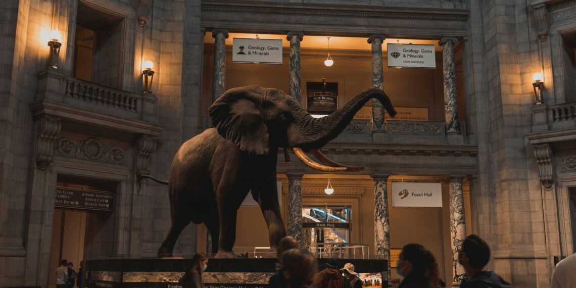 Trump Administration Threatens Smithsonian Support