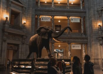 Trump Administration Threatens Smithsonian Support