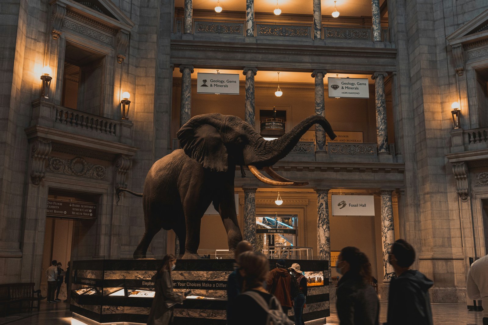 Trump Administration Threatens Smithsonian Support