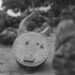British Crown Branded on Enslaved Africans, New Research Finds