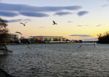 US Senator Blocks Bill Restricting Trump’s Power To Demolish Kennedy Center