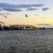 US Senator Blocks Bill Restricting Trump’s Power To Demolish Kennedy Center