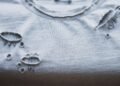 The Halo Effect: Why a $2,000 Torn Sweater Is 'Fashion' on a Celebrity but 'Messy' on You