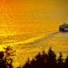130 Feared Missing After Ferry Carrying 243 Sinks In Indonesia