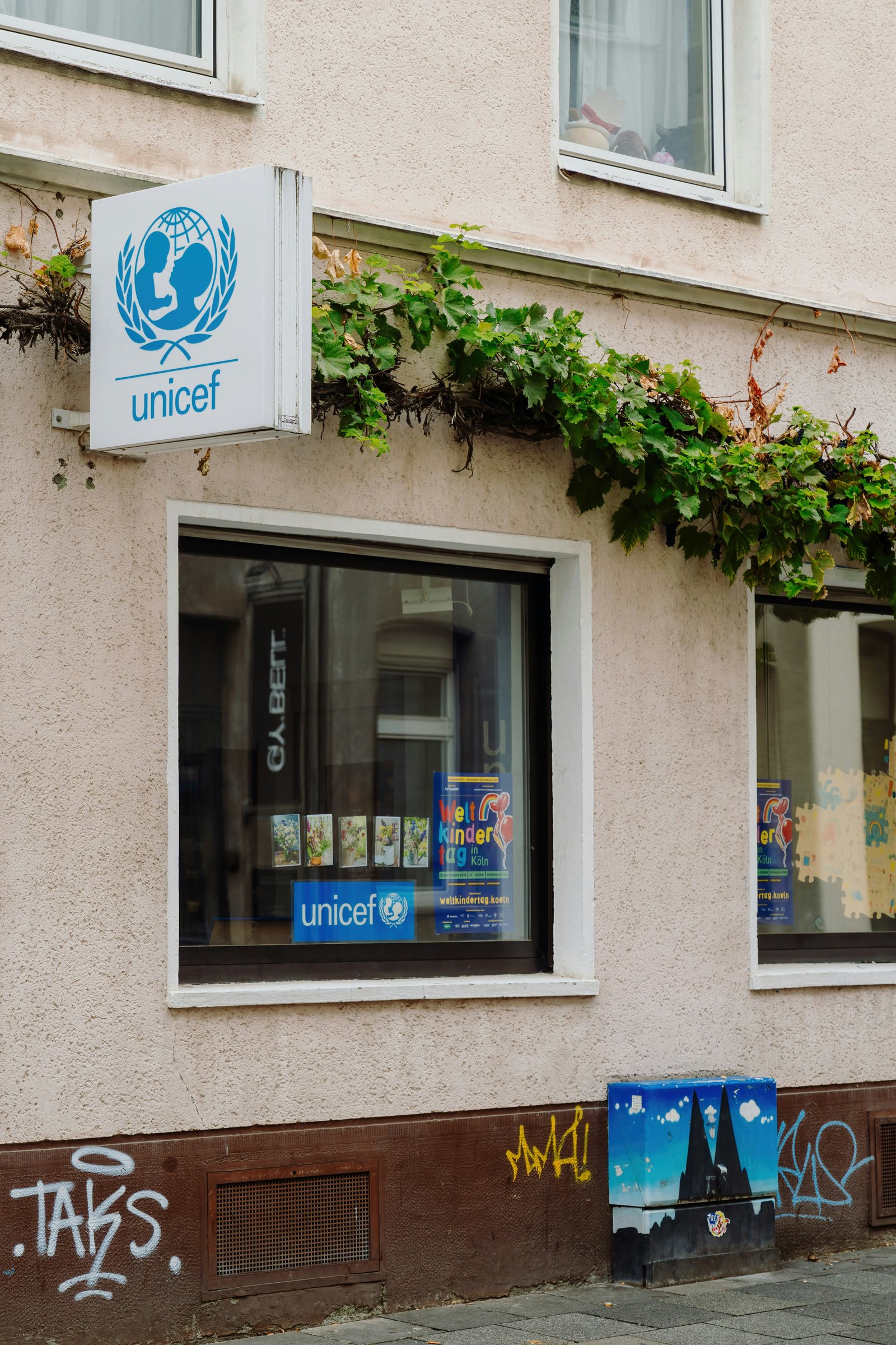 Javier Bardem Backs Petition to Remove Pink as UNICEF Ambassador