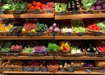 New SNAP Rules: How Benefits And Income Limits Change From October
