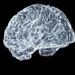 Alzheimer’s Trial To Test Experimental Drug Before Symptoms Develop