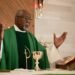 78-Year-Old Priest Carried Out of US Detention Centre After Judge Orders Release