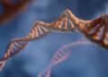 2026 Nobel Medicine Prize Awarded to Optogenetics Pioneers