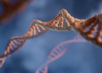 2026 Nobel Medicine Prize Awarded to Optogenetics Pioneers