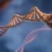 2026 Nobel Medicine Prize Awarded to Optogenetics Pioneers
