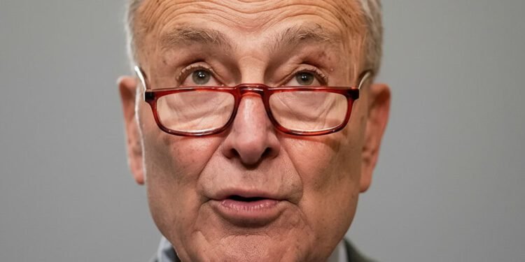 Schumer’s Future As Senate Democratic Leader Hinges On Midterm Results