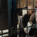 US Citizenship Dispute Leaves Mentally Ill Man in Detention for Months